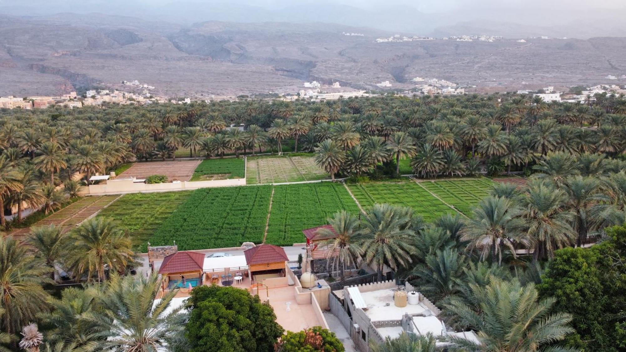 بيت نُزل السلام Bait Salam Inn Al Ḩamrāʼ Extérieur photo