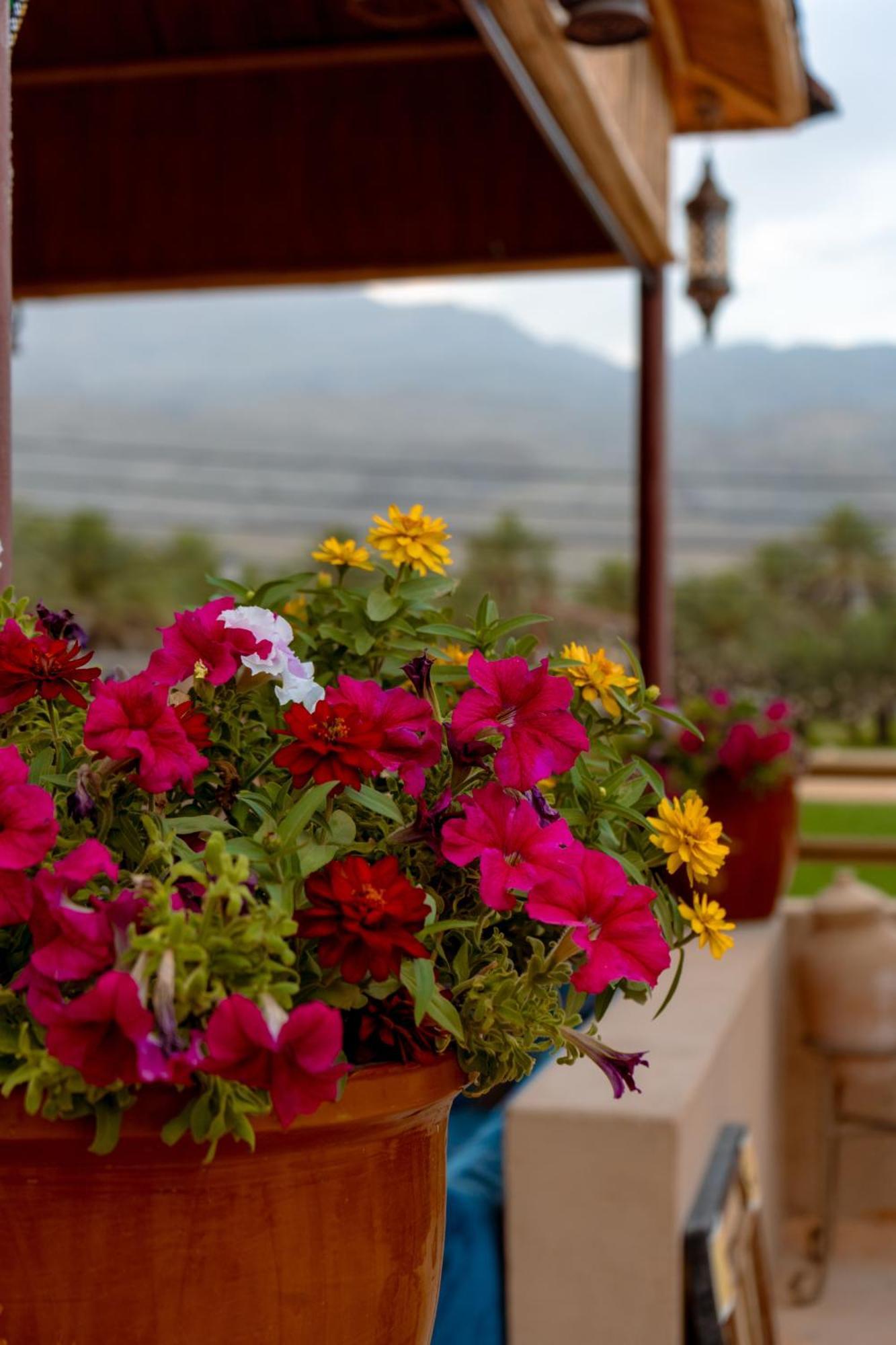 بيت نُزل السلام Bait Salam Inn Al Ḩamrāʼ Extérieur photo