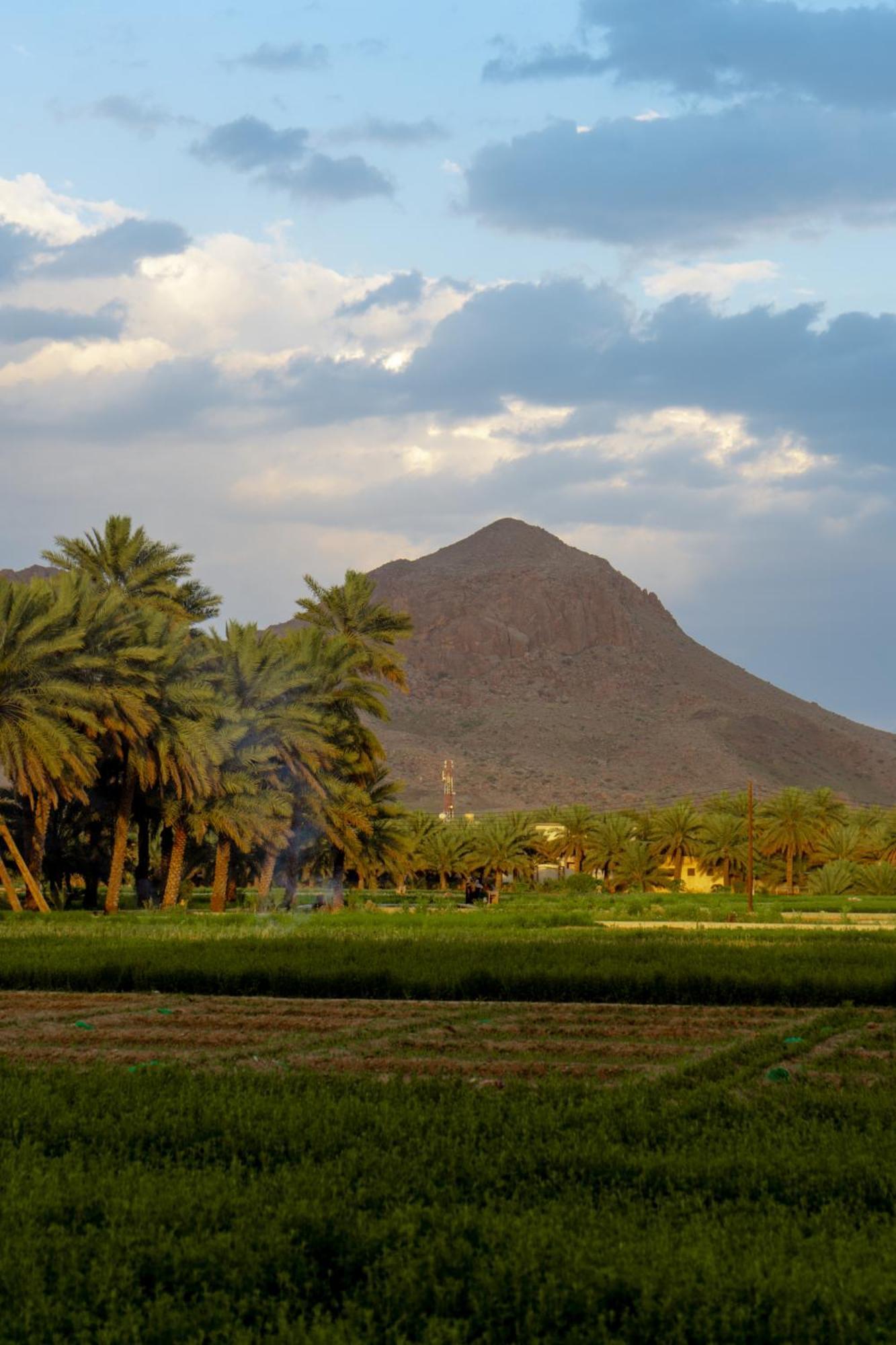 بيت نُزل السلام Bait Salam Inn Al Ḩamrāʼ Extérieur photo