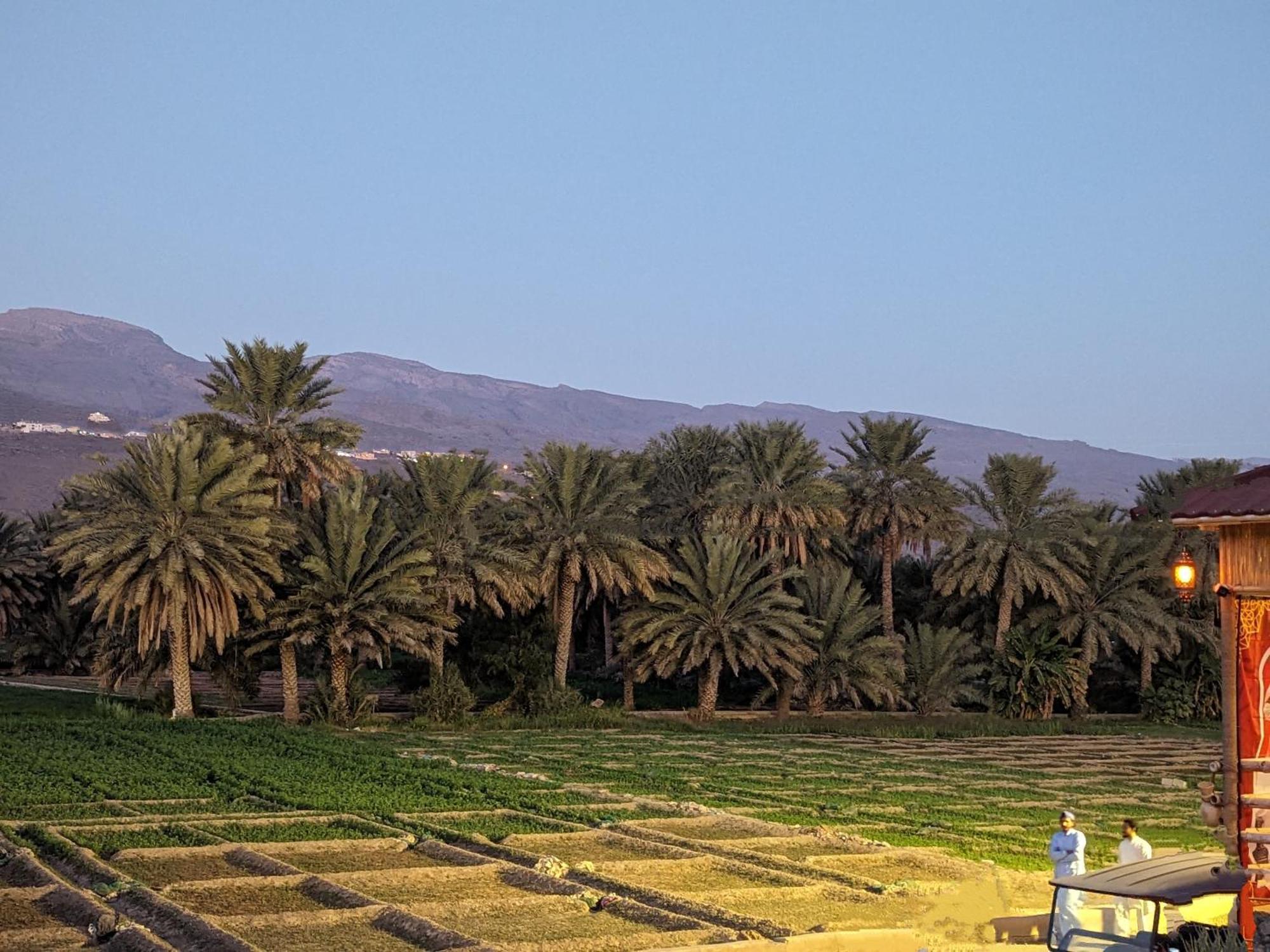 بيت نُزل السلام Bait Salam Inn Al Ḩamrāʼ Extérieur photo