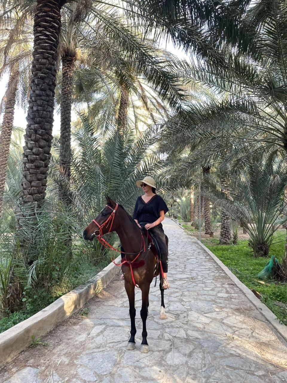 بيت نُزل السلام Bait Salam Inn Al Ḩamrāʼ Extérieur photo